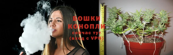 гашик Инта