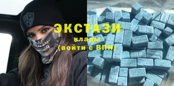 гашик Инта