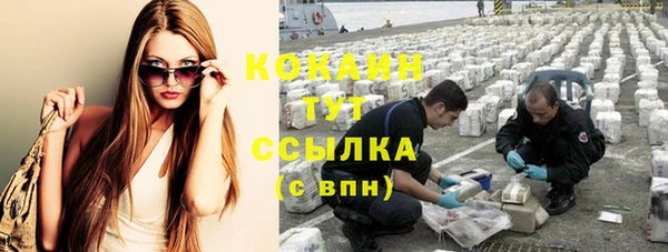 гашик Инта