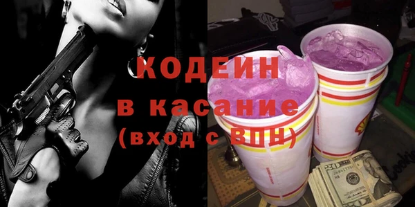 прущие грибы Заводоуковск