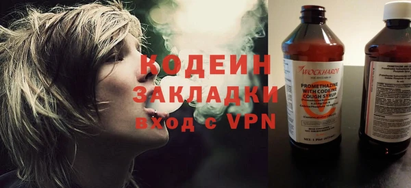 прущие грибы Заводоуковск