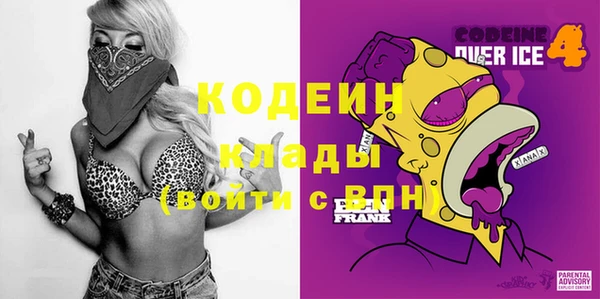 прущие грибы Заводоуковск