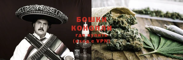 гашик Инта