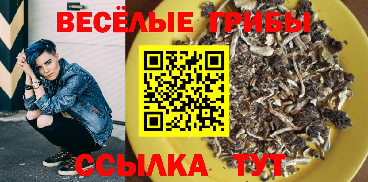 Псилоцибиновые грибы MAGIC MUSHROOMS Иркутск